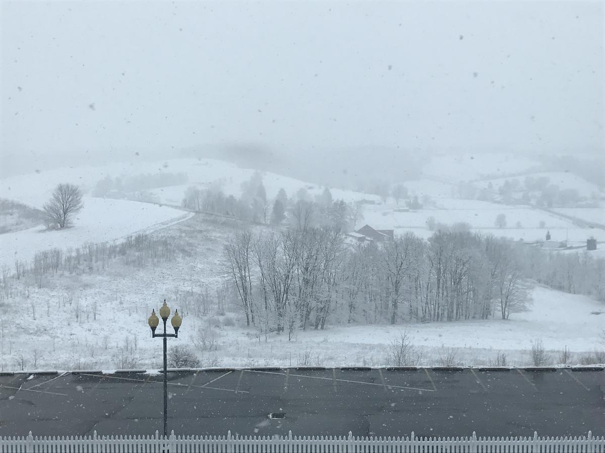 Carlisle Inn Уолнът Крийк Екстериор снимка